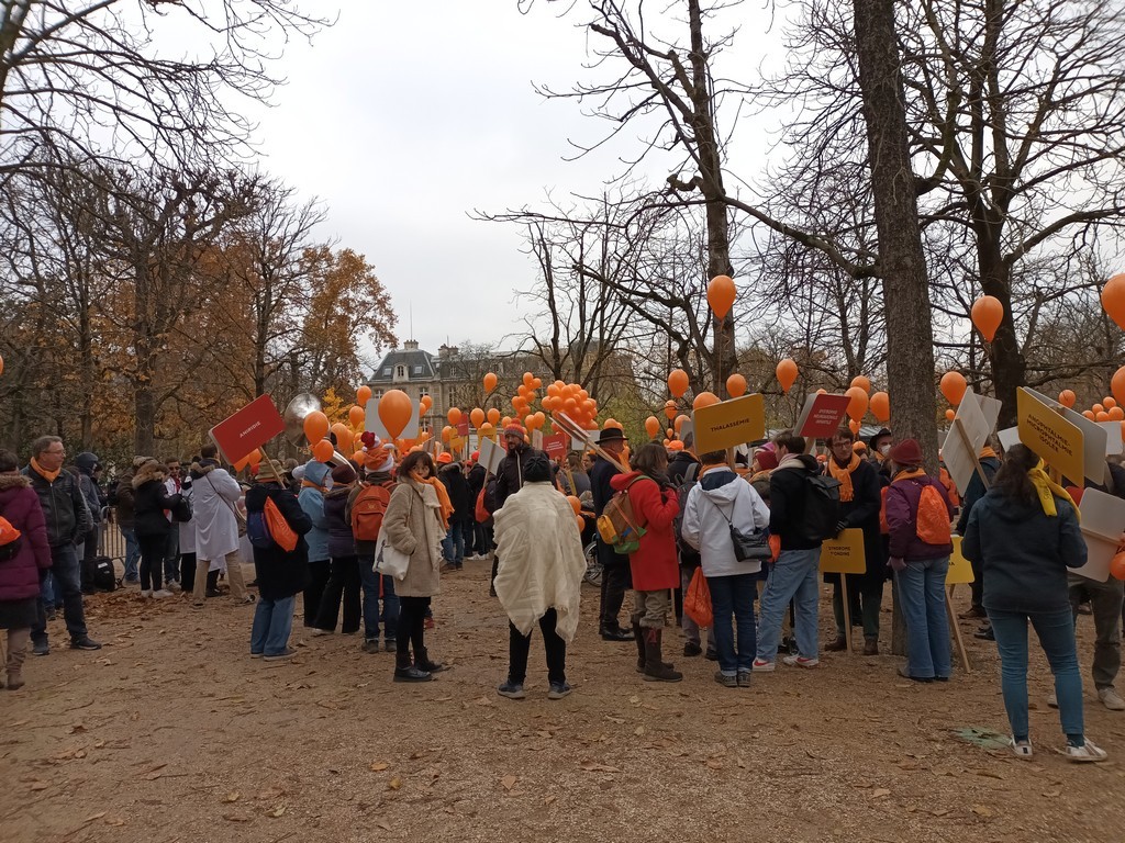 Marche maladies rares2002 03